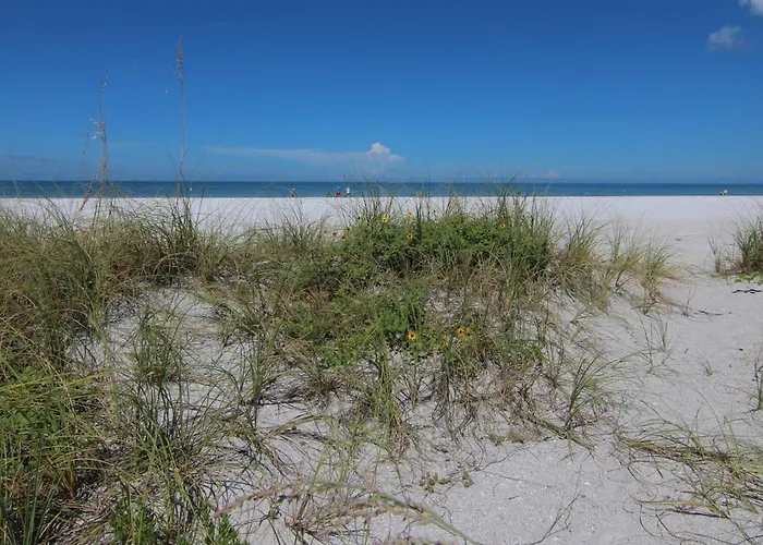 Belleair Club 312 Clearwater Beach